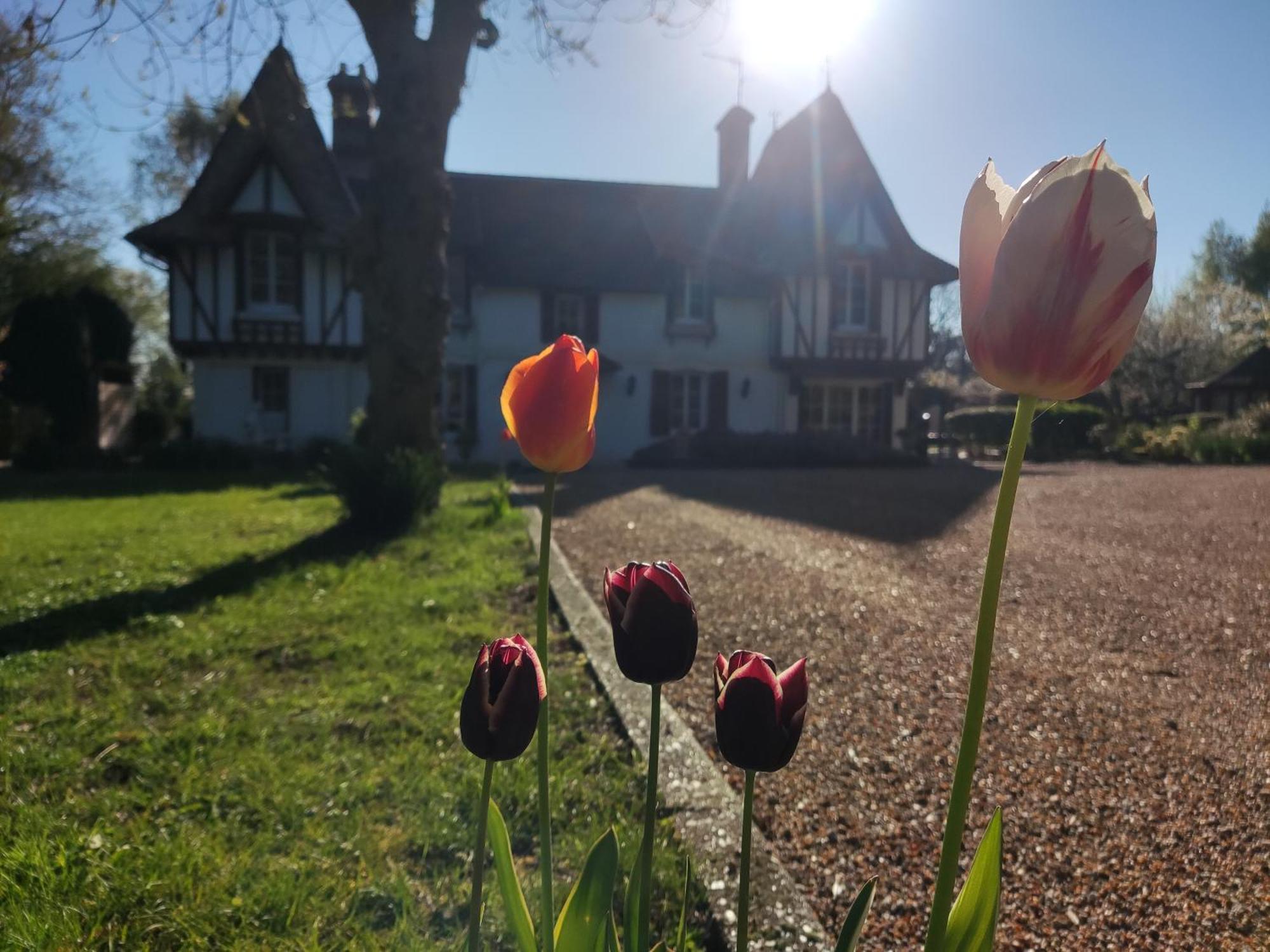 Villa Demeure Du Canteloup Honfleur